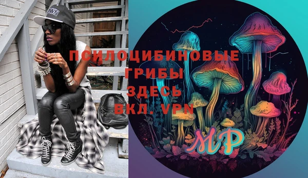 прущие крисы Верея