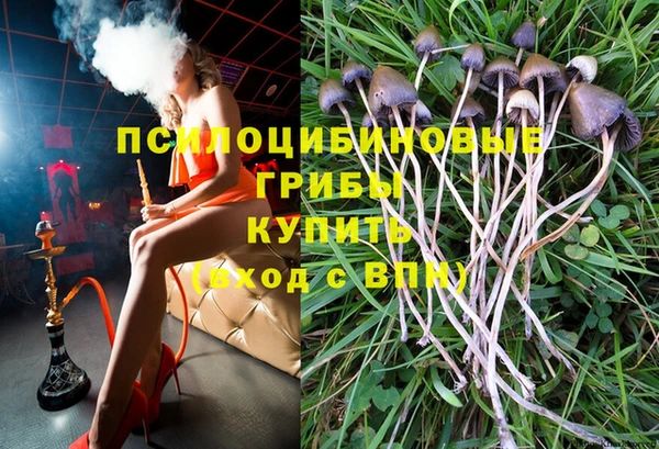 прущие крисы Верея