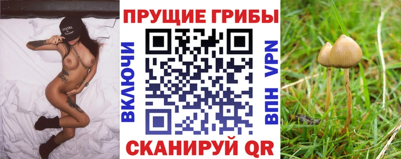 где купить наркотик  Белоусово  Псилоцибиновые грибы прущие грибы 